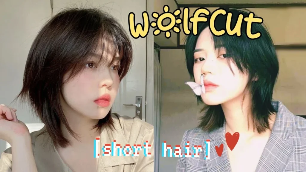 Steps to Achieve a Korean-Inspired Wolf Cut